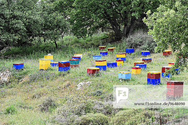 Bienenkästen  bei Rethymno  Kreta  Griechenland  Europa