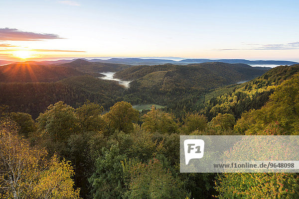 Ausblick auf den Pfälzerwald von der Ruine Wegelnburg  Morgenstimmung  bei Nothweiler  Rheinland-Pfalz  Deutschland  Europa