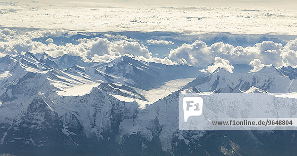 Luftaufnahme von Eiger  Mönch und Jungfrau und dem dahinterliegenden Großen Aletschgletscher  Berner-Alpen  Schweiz  Europa