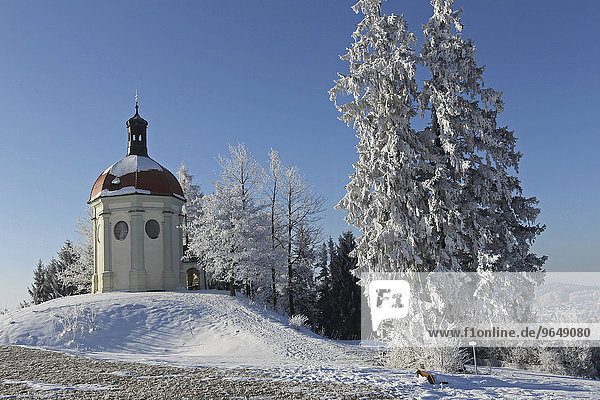 Buschelkapelle im Winter  bei Ottobeuren  Allgäu  Bayern  Deutschland  Europa