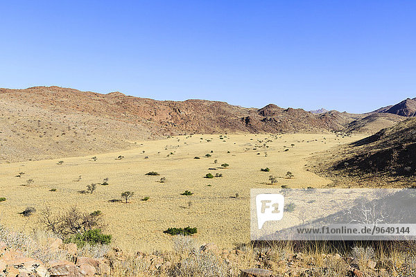 Seitental vom Swakop-Trockenfluss  Farm Tsaobis  Namib-Wüste  Namibia  Afrika