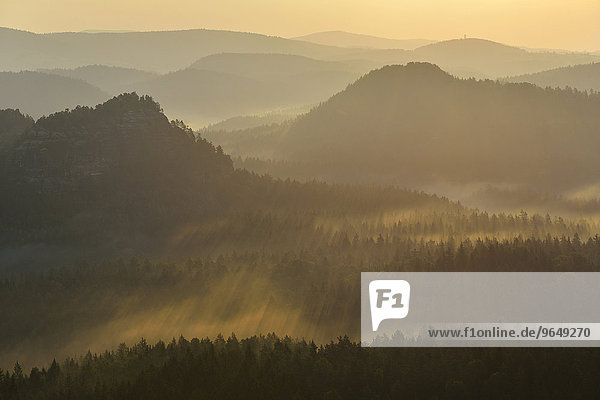 Nebel und Dunst am Morgen im Elbsandsteingebirge  Sächsische Schweiz  Sachsen  Deutschland  Europa