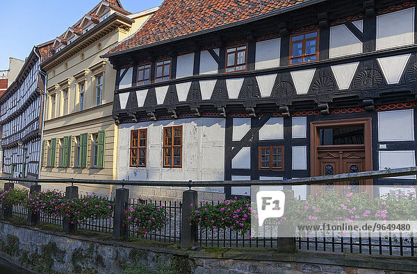 Häuserzeile in der Altstadt  Quedlinburg  Harz  Sachsen-Anhalt  Deutschland  Europa