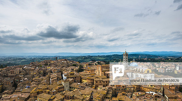 Ausblick über Altstadt mit dem Dom von Siena oder Cattedrale di Santa Maria Assunta  Siena  Toskana  Italien  Europa