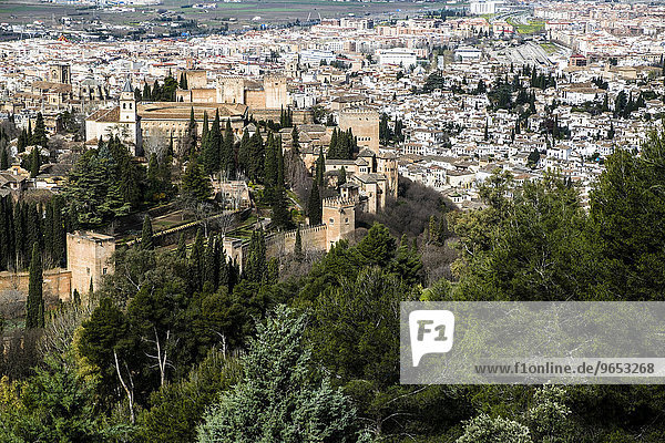 Die Alhambra  Stadtansicht  Granada  Andalusien  Spanien  Europa