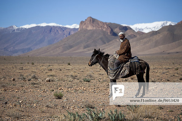 Nomad Berber riding a horse  Atlas Mountains  Morocco  Africa