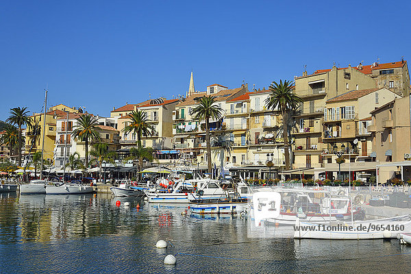 Häuserzeile mit Palmen am Hafen  Calvi  Haute-Corse  Korsika  Frankreich  Europa