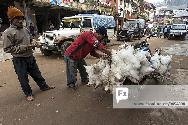 Straßenszene  Geflügeltransport auf einem Motorrad  Bandipur  Nepal  Asien