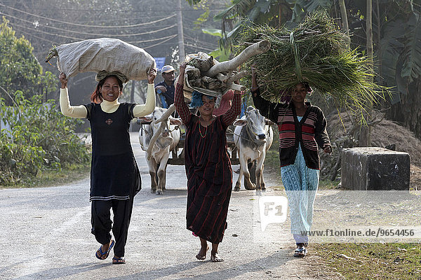 Nepalese women carrying goods on their heads  Sauraha  Nepal  Asia