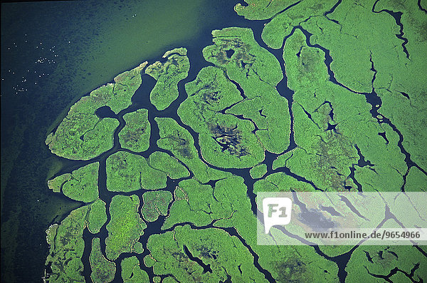 Aerial view  islands in the Bodden lagoon  Kirr  Mecklenburg-Western Pomerania  Germany  Europe
