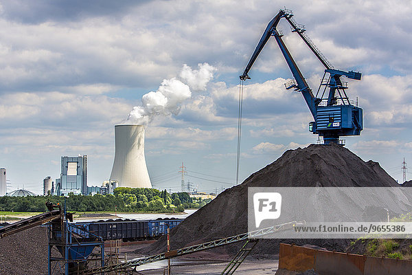 Coal loading in port of Orsoy on the Rhein  Walsum coal-fired power station operated by STEAG with cooling tower at the back  Duisburg-Walsum  Duisburg  North Rhine-Westphalia  Germany  Europe