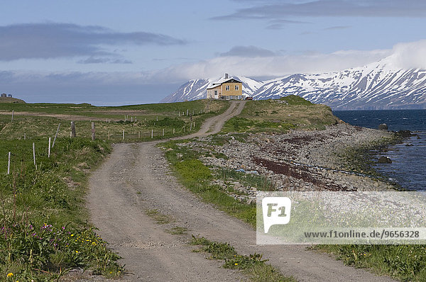 Weg zu einem Haus  Eyjafjördur  Island  Europa