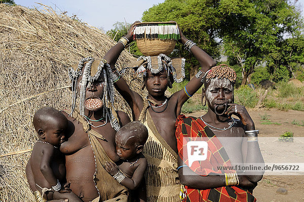 Women of the Mursi tribe  one with a plate in her lip  Mago National Park  southern Omo valley  southern Ethiopia  Ethiopia  Africa