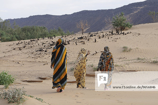 Verschleierte Frauen in traditioneller Kleidung gehen in der Nähe von Atar  Mauretanien  nordwestliches Afrika  Afrika