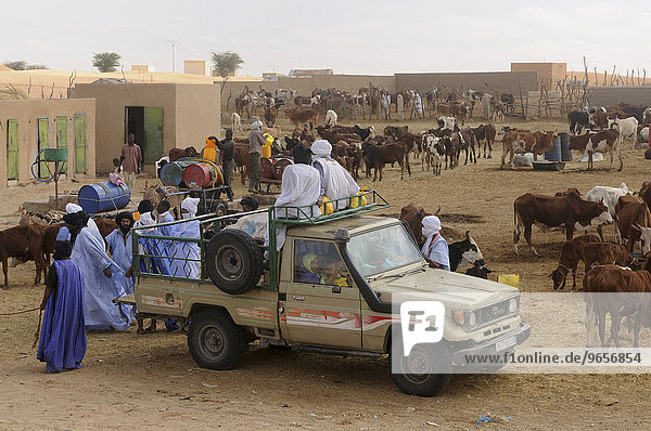 Handel am Kamelmarkt von Nouakchott  Mauretanien  nordwestliches Afrika  Afrika