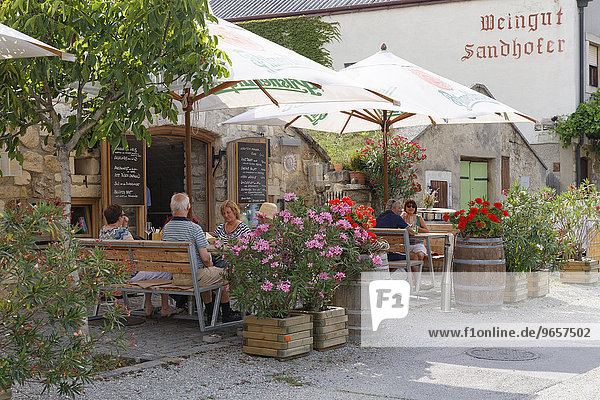 Buschenschank  Restaurant  Kellergasse  Neusiedl am See  Northern Burgenland  Burgenland  Austria  Europe