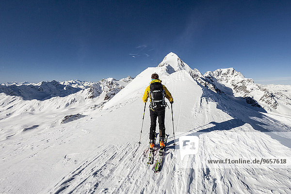 Ski tourer during the ascent of Mt Suldenspitze  on the summit ridge  at the back mountains Königspitze and Ortler  Sulden  Solda  Ortler Alps  Stelvio National Park  Vinschgau or Val Venosta  Trentino-Alto Adige  South Tyrol  Italy  Europe