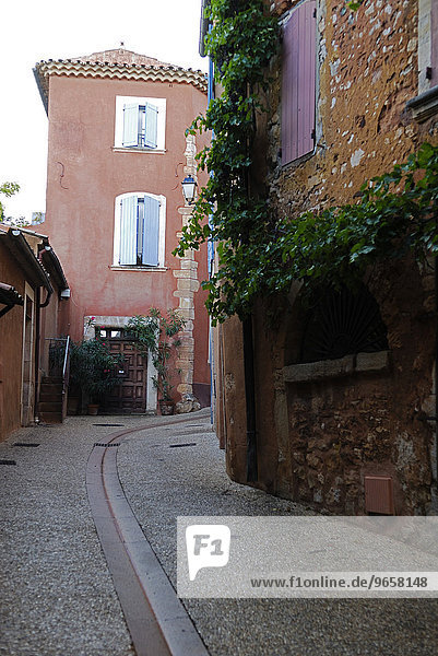 Narrow cobbled street  vine growing up old stone building in Roussillion  Departement Vaucluse  France  Europe