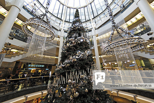 'Riesiger Weihnachtsbaum im Einkaufszentrum ''Schadow Arkaden''  Düsseldorf  Nordrhein-Westfalen  Deutschland  Europa'