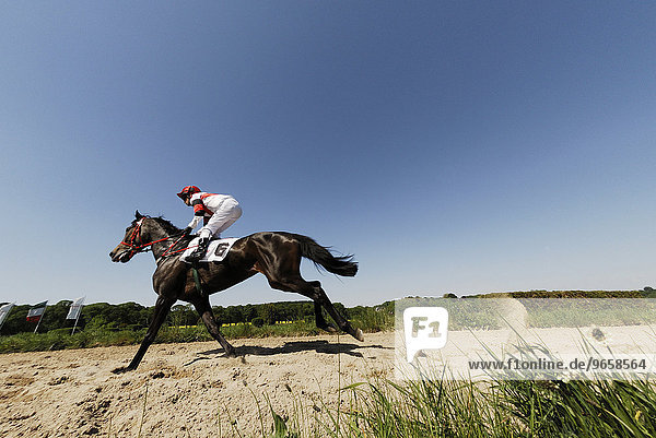 Jockey on galloping horse at the Galopprennbahn Duesseldorf racetrack  North Rhine-Westphalia  Germany  Europe