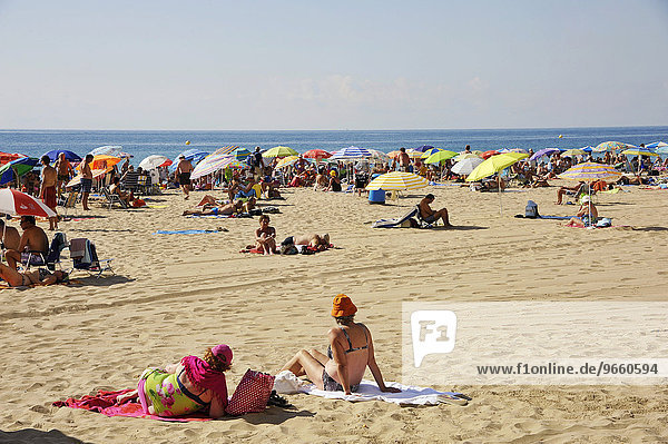 Touristen sonnen sich am Playa Levante Strand von Benidorm  Spanien  Europa