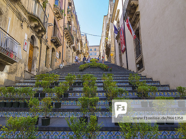 Die Treppe Santa Maria del Monte mit Keramik-Kacheln und Topfpflanzen  Caltagirone  Provinz Catania  Sizilien  Italien  Europa