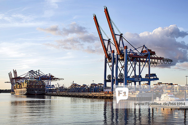 Containerterminal Burchardkai im Waltershofer Hafen  Hamburger Hafen  Hamburg  Deutschland  Europa