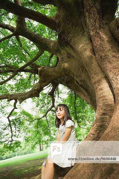 Japanese kid sitting on big tree in a park
