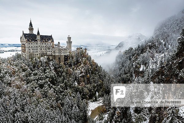 Famous Neuschwanstein Castle (New Swanstone Castle) in winter  Hohenschwangau  Bavaria  Germany  Europe