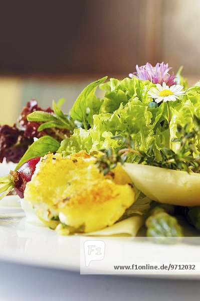 Blattsalate mit Kohlrabirohkost  Gartenkräutern  Spargelspitzen  Radieschen und Kartoffel-Schafskäse-Puffern (Österreich)