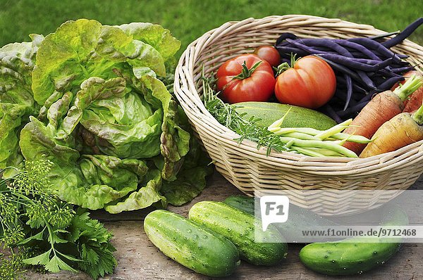 Sommerliche Ernte aus dem Garten: Salat  Gurken  Dill  Petersilie  Bohnenkraut  Bohnen  Möhren und Tomaten