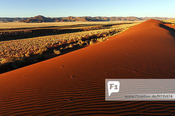 Südliche Ausläufer der Namib-Wüste  Sanddünen  hinten die Tirasberge  Abendlicht  Namibia  Afrika