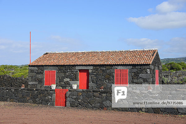 Typisches Haus aus Vulkangestein  Weinbaugebiet Verdelho  Pico  Azoren  Portugal  Europa