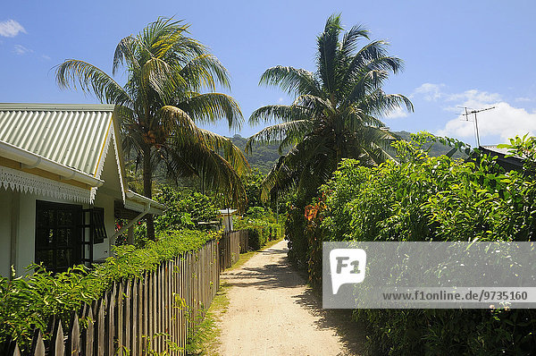 Typical alleyway in the village of La Passe  La Digue Island  La Digue and Inner Islands  Seychelles  Africa