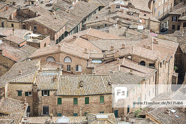 Hausdächer aus Ziegeln  Siena  Toskana  Italien  Europa