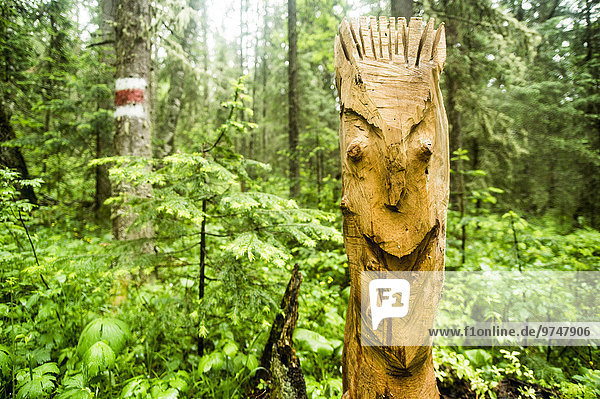 Stange Wald Close-up Totempfahl schnitzen
