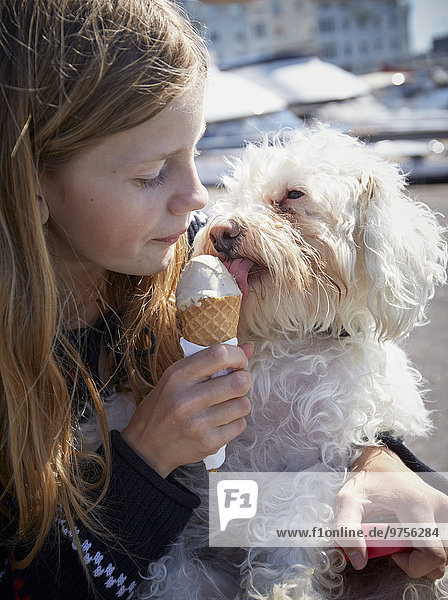 Eiscreme Eis Zusammenhalt Hund Essen Essend Isst Madchen