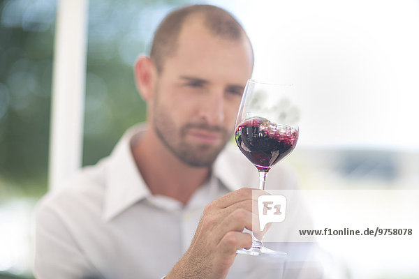 Man examining red wine on a wine tasting session