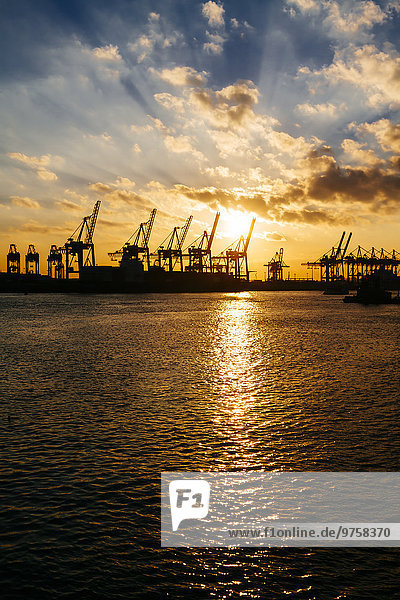 Deutschland,  Hamburg,  Containerkrane bei Sonnenuntergang