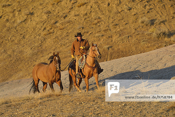USA  Wyoming  cowboy with two horses in badlands