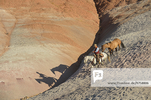 USA  Wyoming  riding cowboy with two horses in badlands
