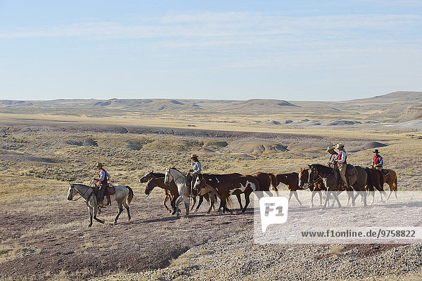 USA  Wyoming  Cowboys und Cowgirls führen Pferde in die Badlands