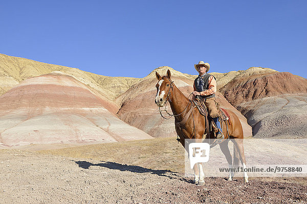 USA  Wyoming  Big Horn Mountains  Cowboy auf seinem Pferd