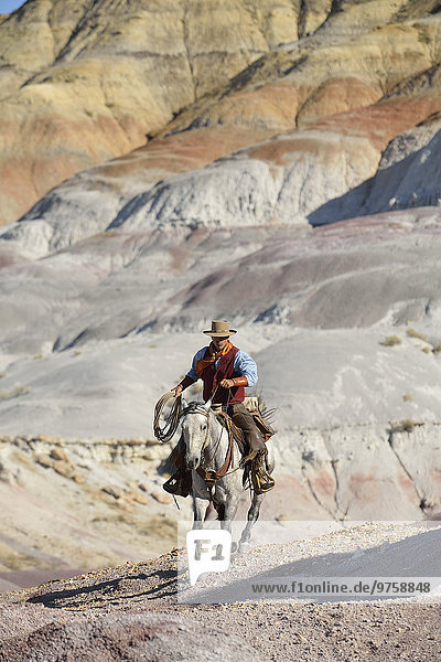 USA  Wyoming  Big Horn Mountains  Cowboyreiten mit Lasso in der Hand