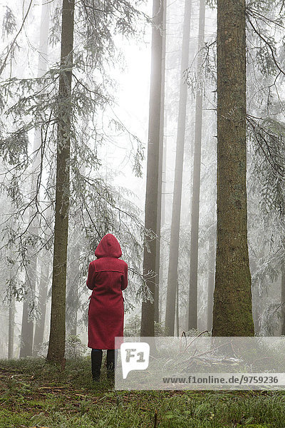 Österreich  Frau allein im Wald stehend