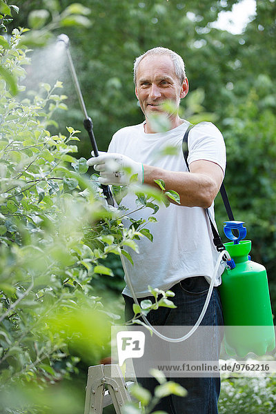 Menschen sprühen Pflanzenschutzmittel im Garten