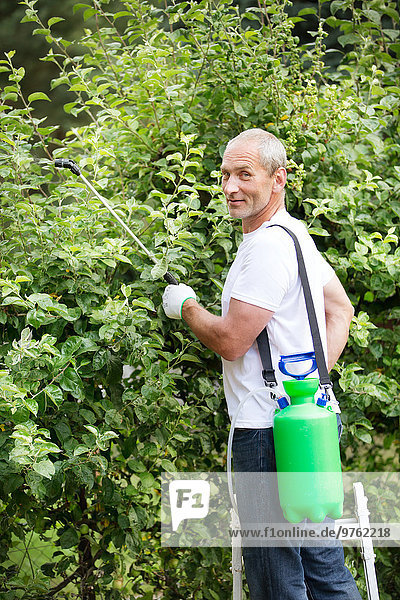 Man spraying plant protection products in the garden