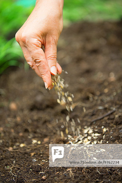 Woman's hand sowing