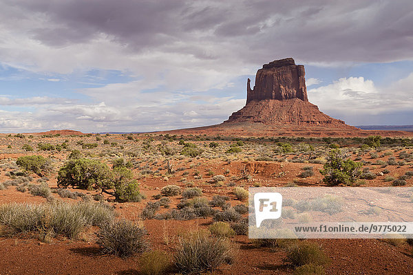 Boden Fußboden Fußböden Amerika Tal Wüste Monument Fäustling Nordamerika Verbindung Volksstamm Stamm Nachmittag Navajo