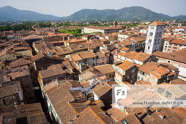 Roofscape from Torre delle Ore  Lucca  Tuscany  Italy  europe